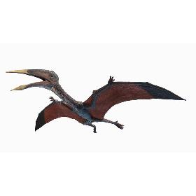 Hatzegopteryx 3D model